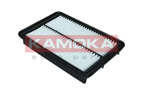 Air Filter F246301