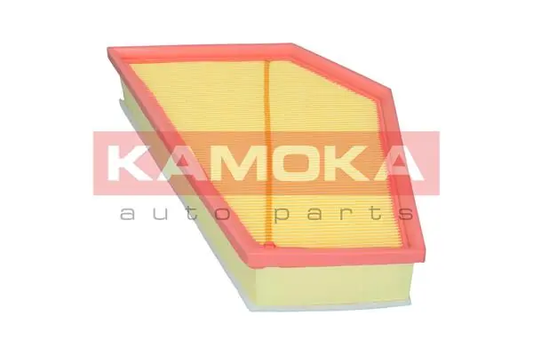 Air Filter F249501