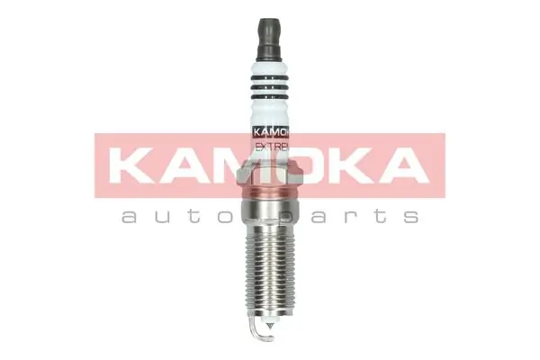 Spark Plug 7100035