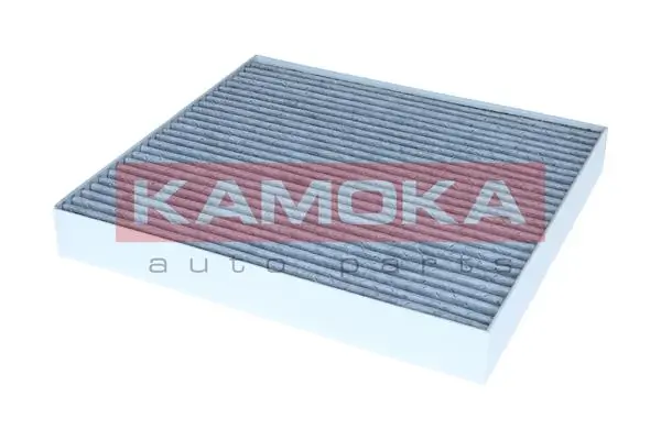 Filter, cabin air F526301