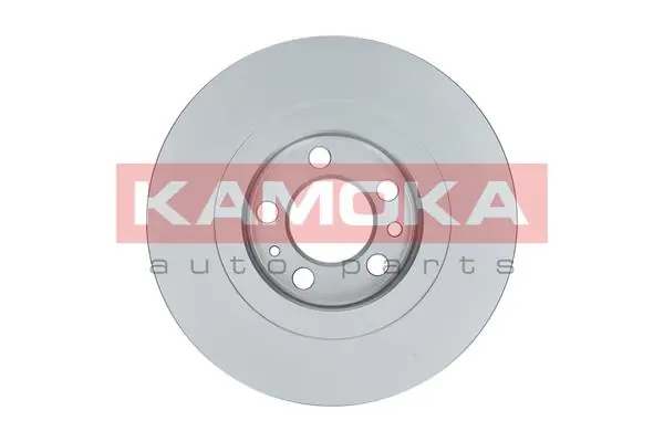 Brake Disc 1031856