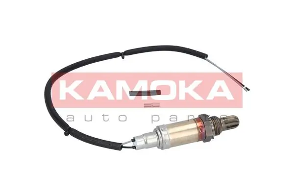 Oxygen Sensor 17002