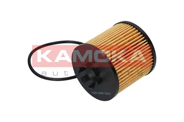 Oil Filter F109801