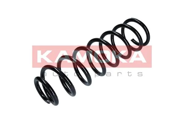 Suspension Spring 2110158