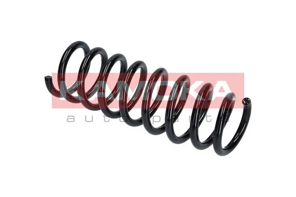 Suspension Spring 2120276