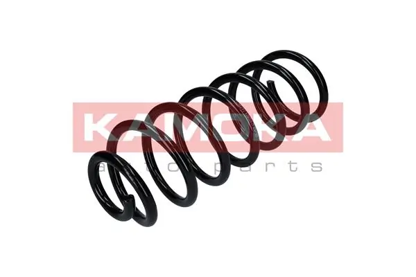 Suspension Spring 2120297