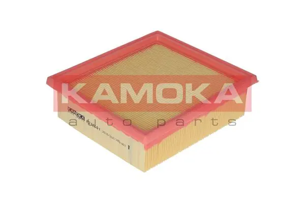 Air Filter F213601