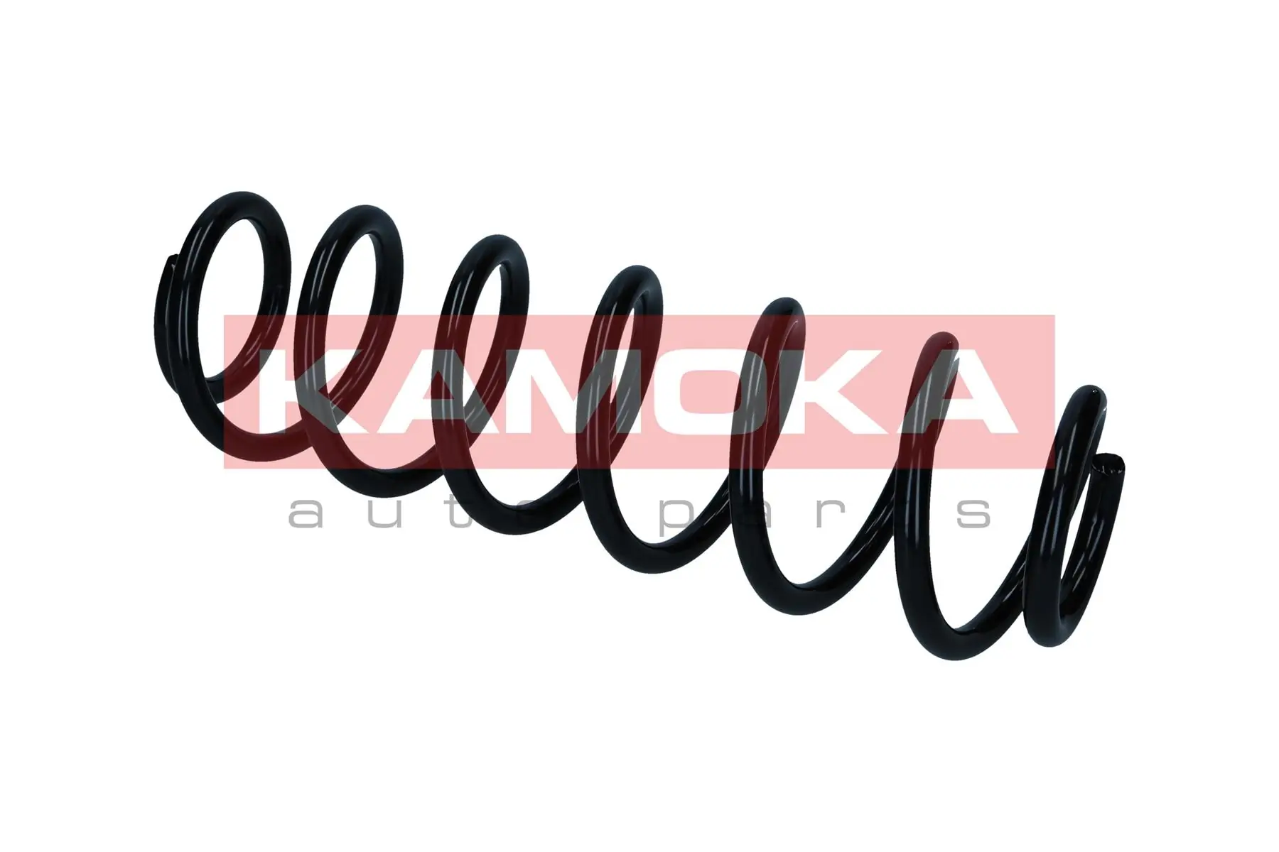 Suspension Spring 2120691