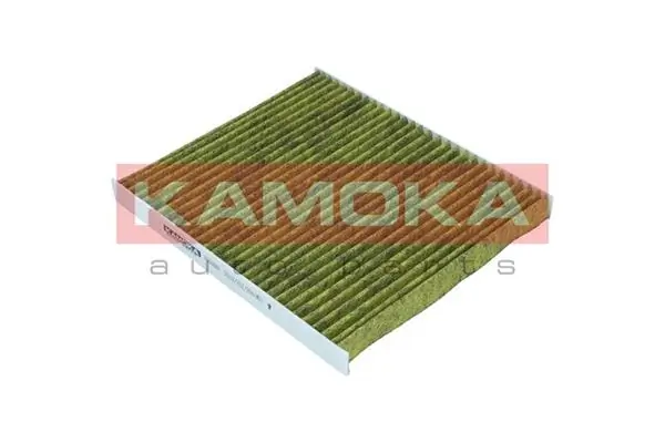Filter, cabin air 6080080