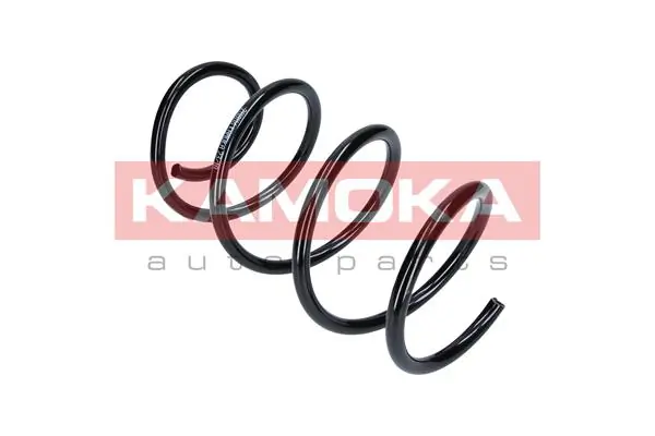 Suspension Spring 2110116