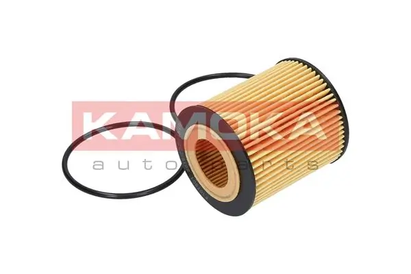 Oil Filter F107501