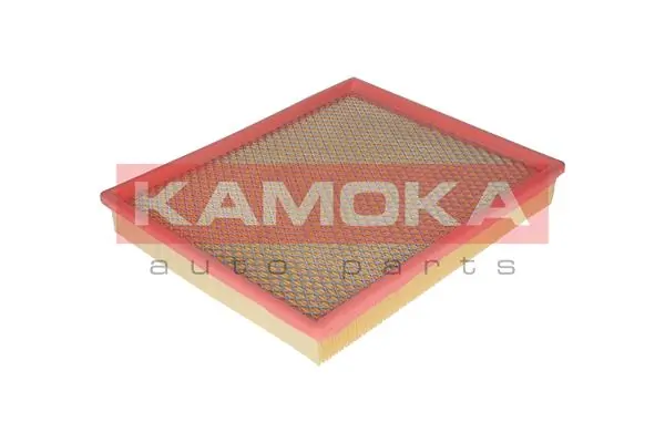 Air Filter F212001