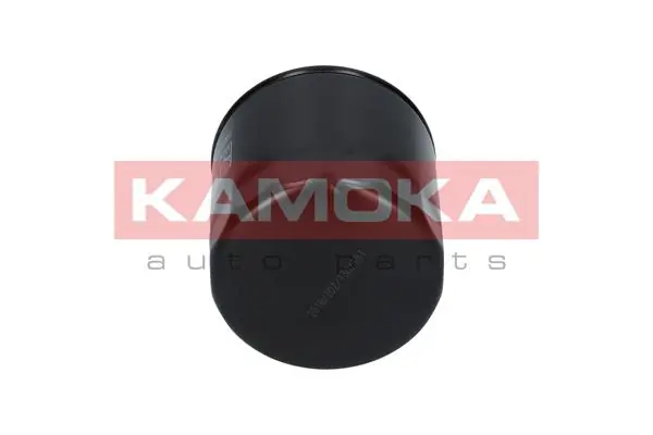 Oil Filter F102901