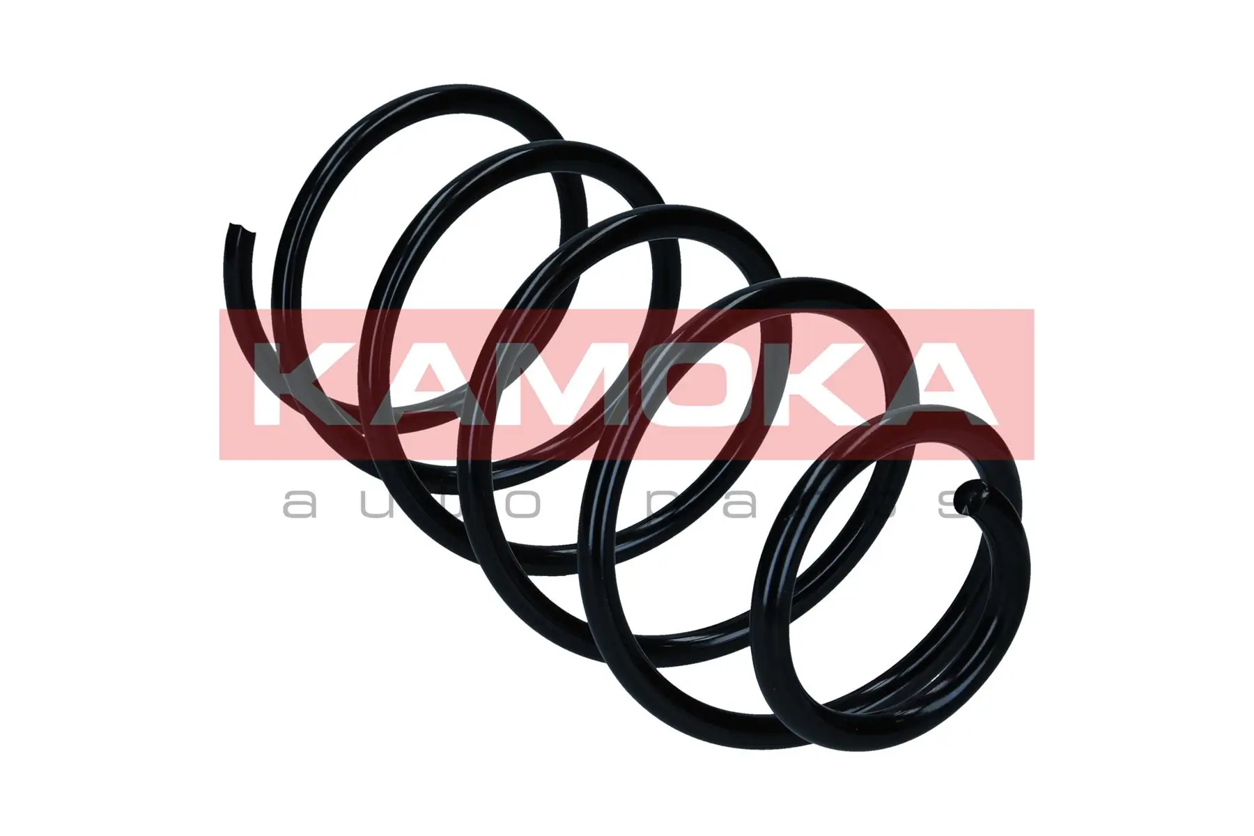 Suspension Spring 2110696