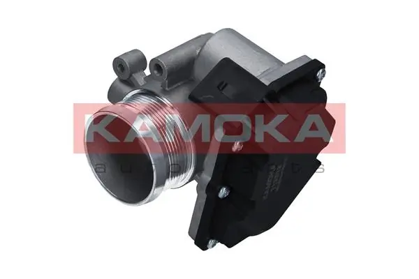 Throttle Body 112012