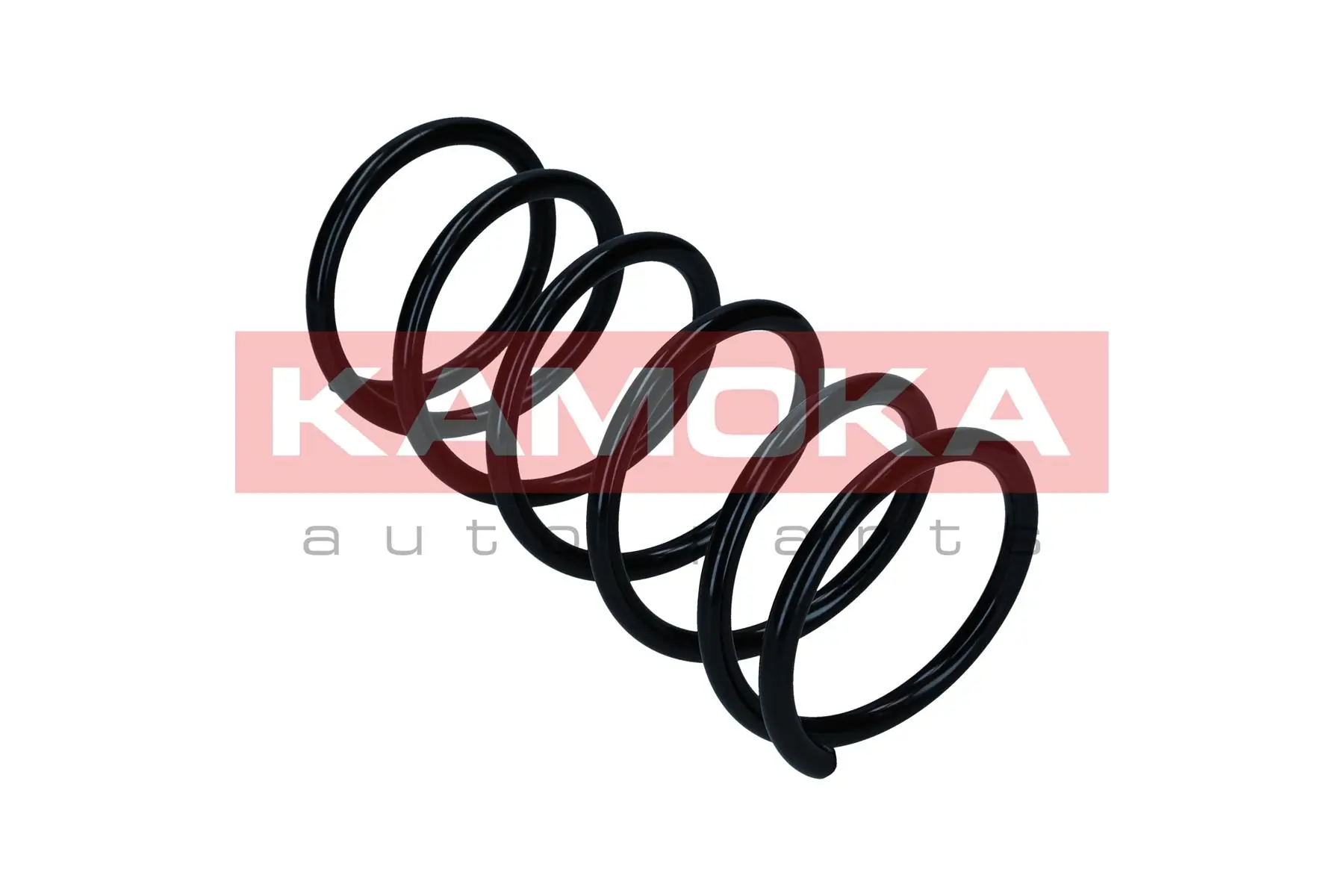 Suspension Spring 2110481