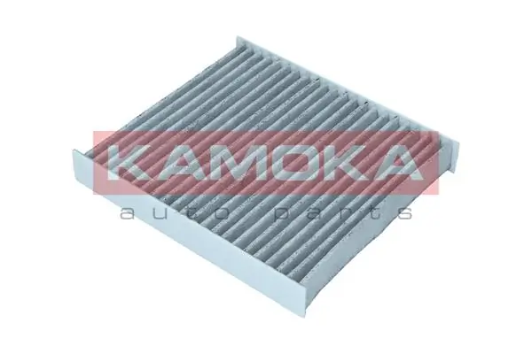 Filter, cabin air F517801
