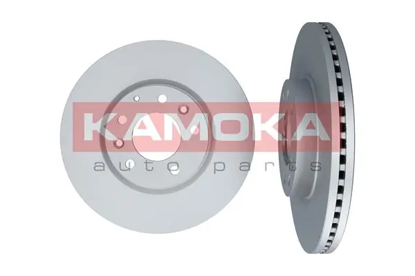 Brake Disc 1031087
