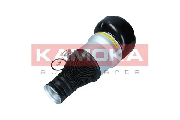 Air Spring, suspension 2079057