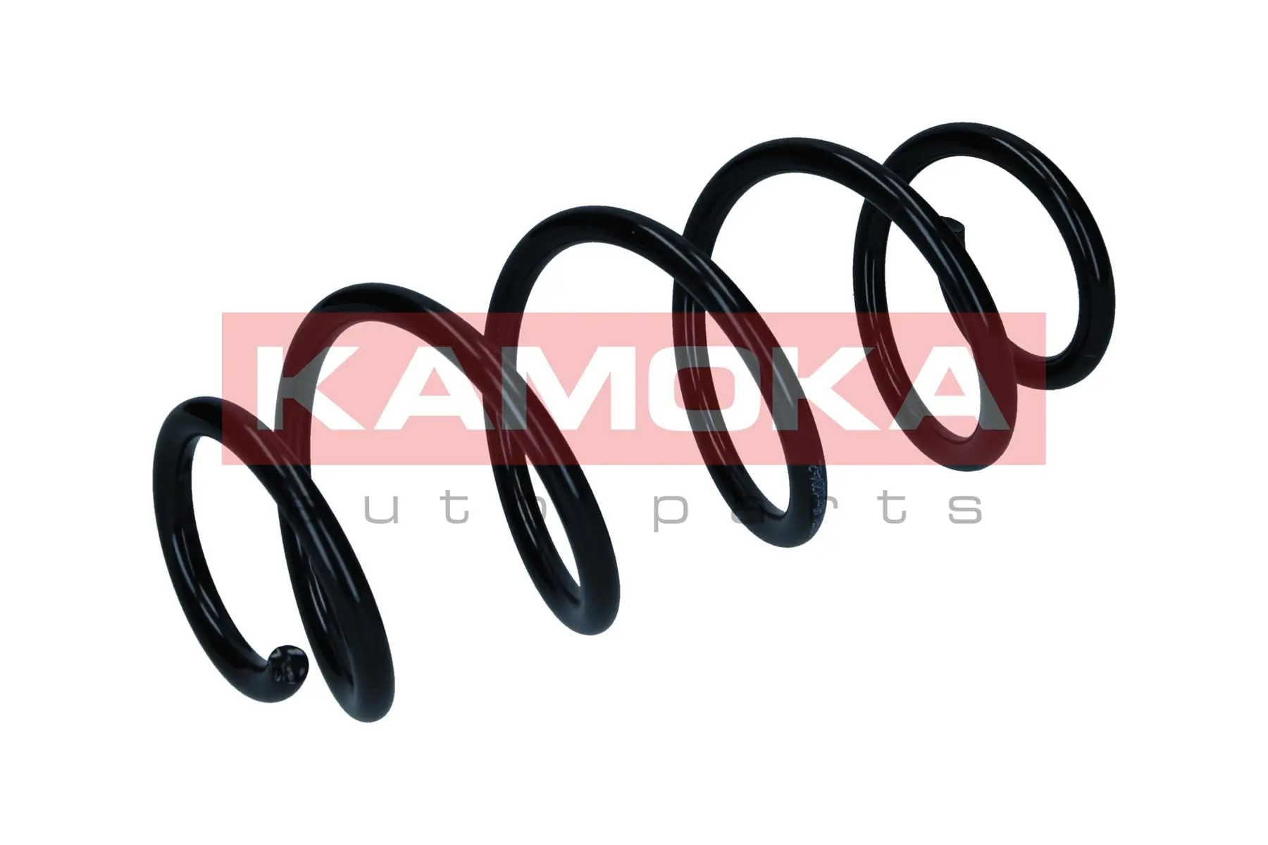 Suspension Spring 2120651