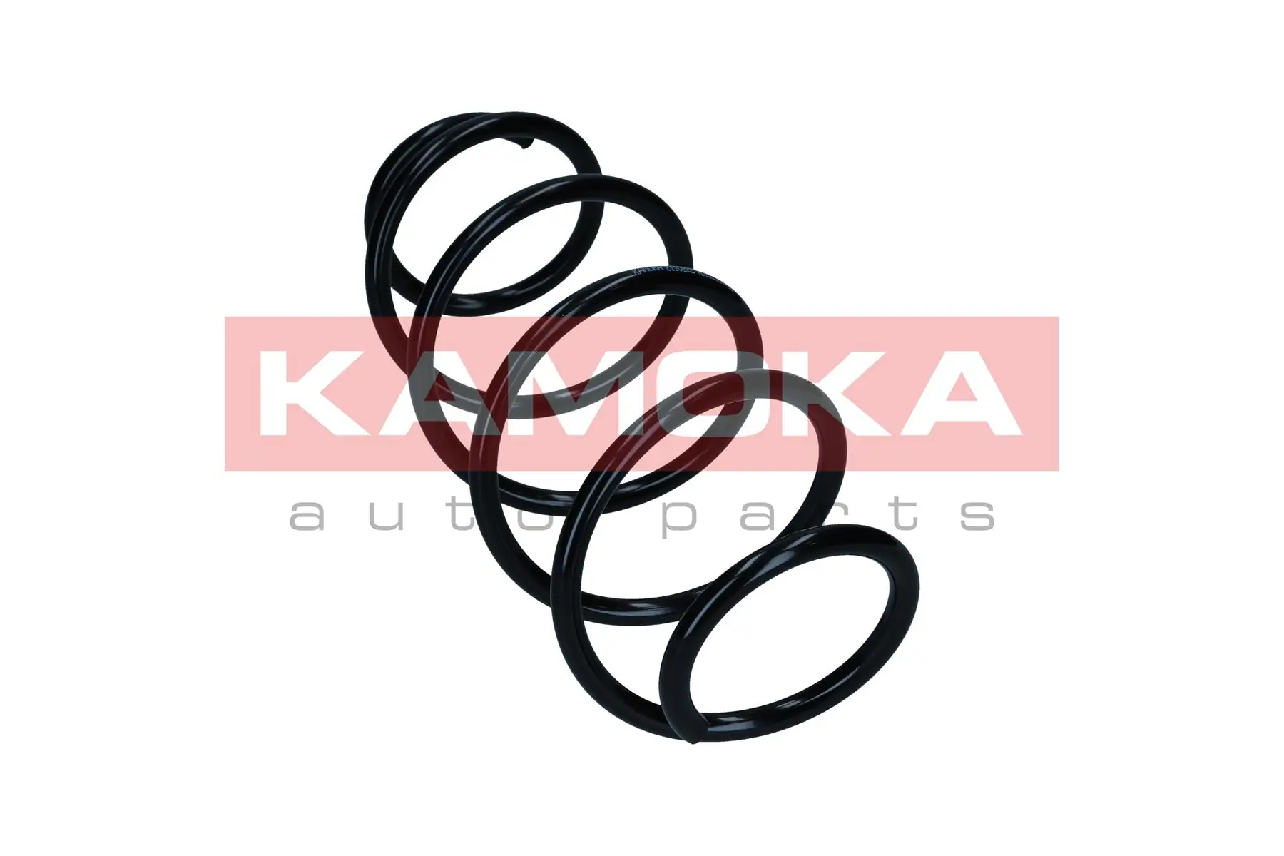 Suspension Spring 2110822