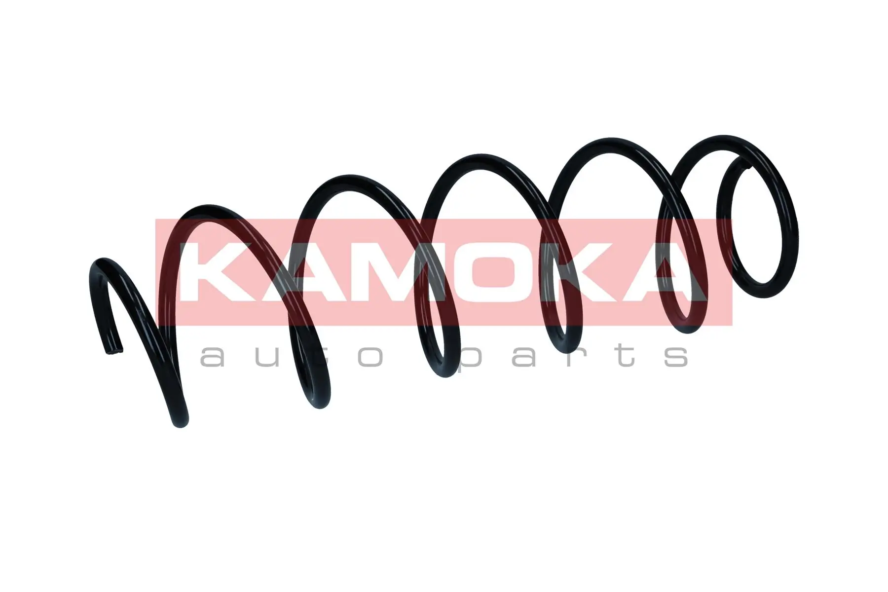 Suspension Spring 2110456