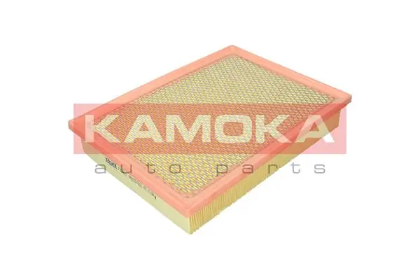 Air Filter F258801