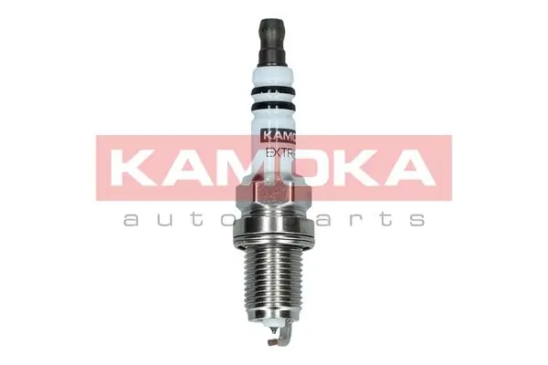 Spark Plug 7090031