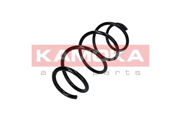 Suspension Spring 2110334