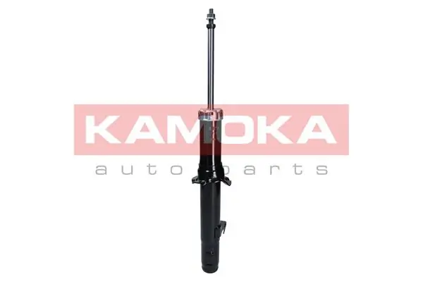 Shock Absorber 2000716