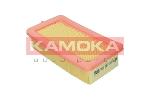 Air Filter F257901