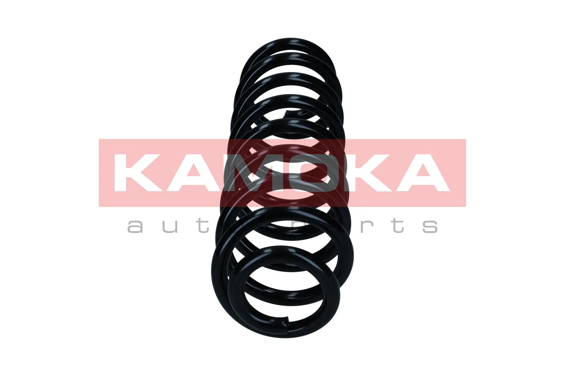 Suspension Spring 2120325