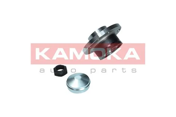 Wheel Bearing Kit 5500169