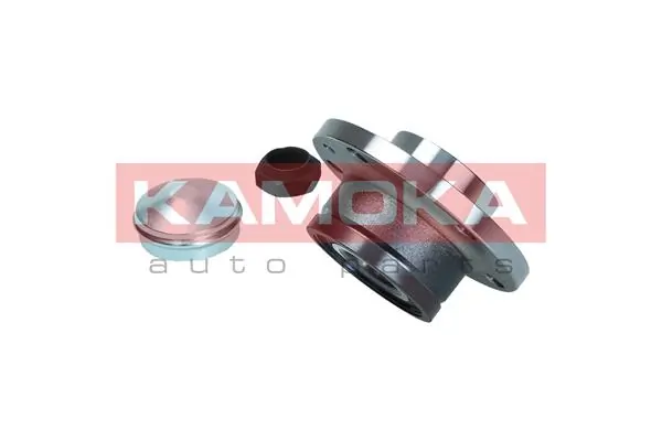Wheel Bearing Kit 5500169