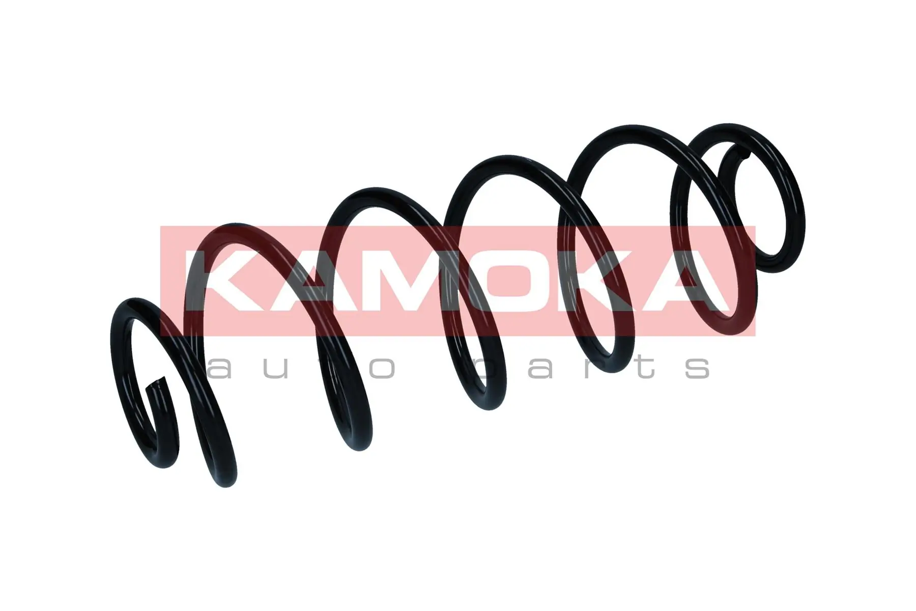 Suspension Spring 2120572