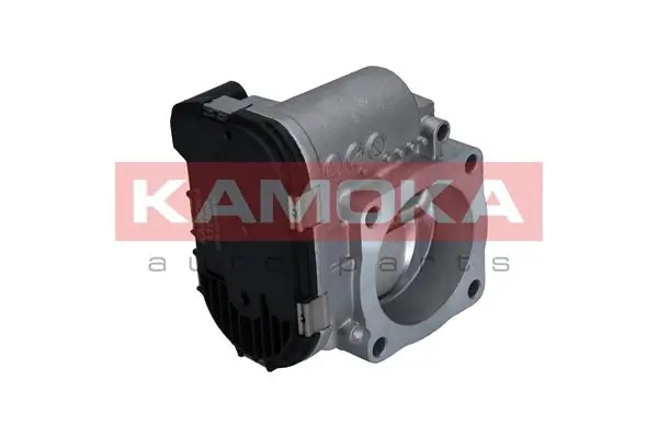 Throttle Body 112009