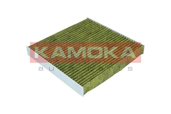 Filter, cabin air 6080087