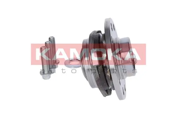 Wheel Bearing Kit 5500060
