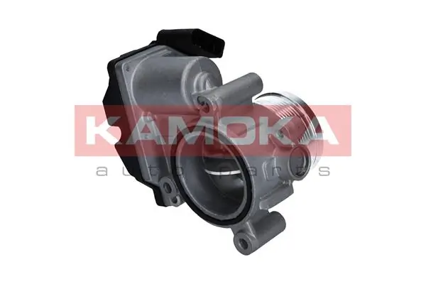 Throttle Body 112012
