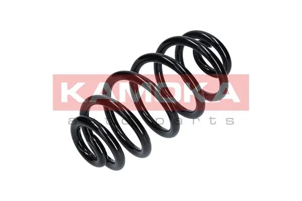 Suspension Spring 2120109