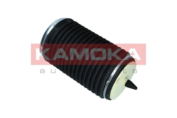 Air Spring, suspension 2079003