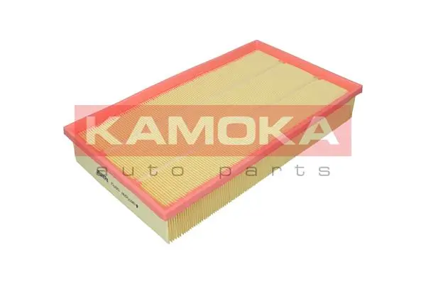 Air Filter F257601
