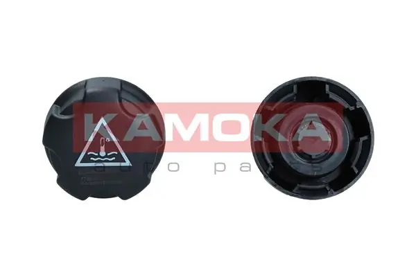 Cap, coolant tank 7729006