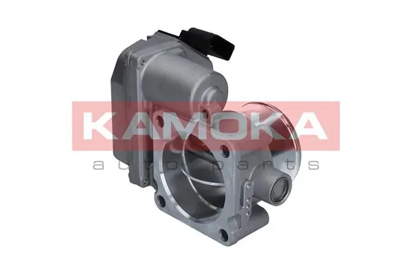 Throttle Body 112017