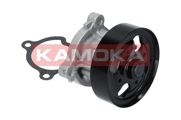 Water Pump, engine cooling T0221