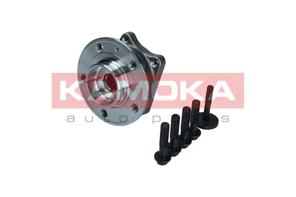 Wheel Bearing Kit 5500380