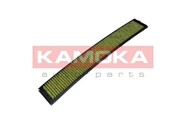 Filter, cabin air 6080026