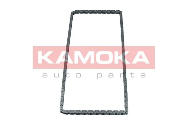 Timing Chain 7001710