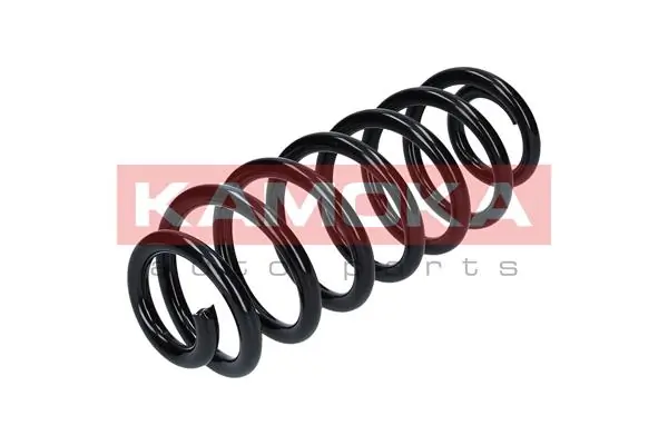 Suspension Spring 2120106