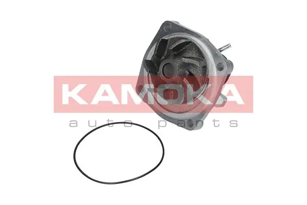 Water Pump, engine cooling T0006